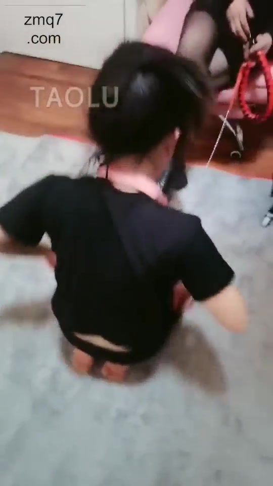 羽珊 玩弄母畜