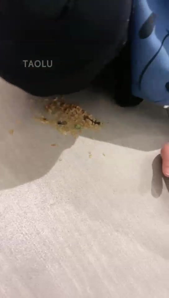 西西小主 暴力巴掌 踩踏羞辱贱狗