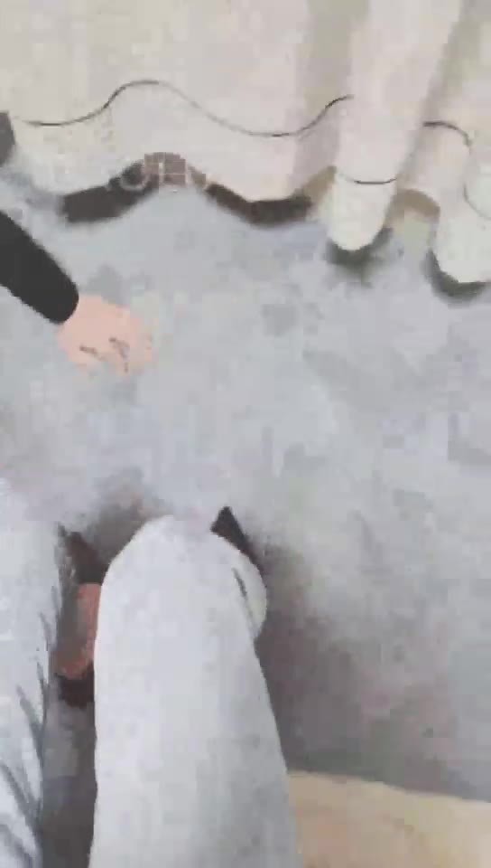 灵竹 调教贱狗 踢打 恋足