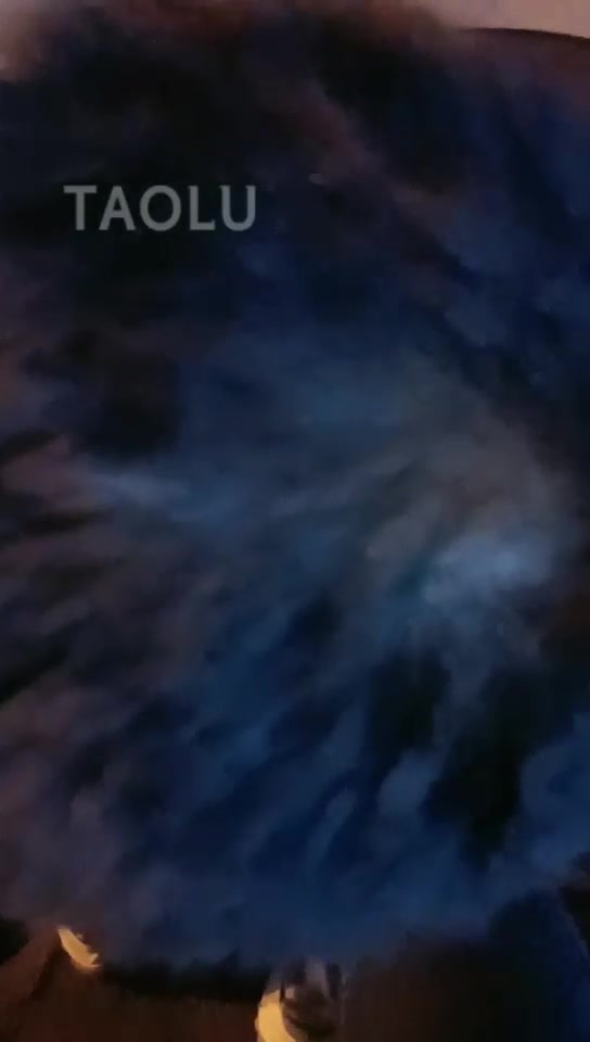 仙飒 户外玩狗 带着去超市买东西