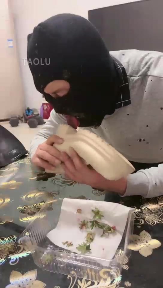 初见 贱狗舔鞋底 喝圣水口水浓痰
