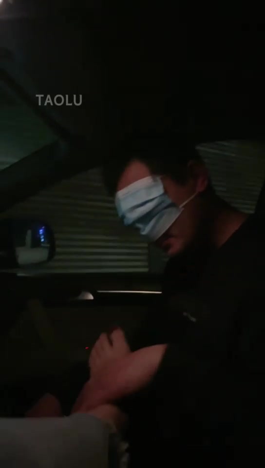 初见 车里玩狗子