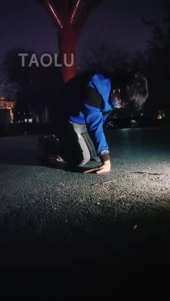 夜伴 户外 深夜公园调狗