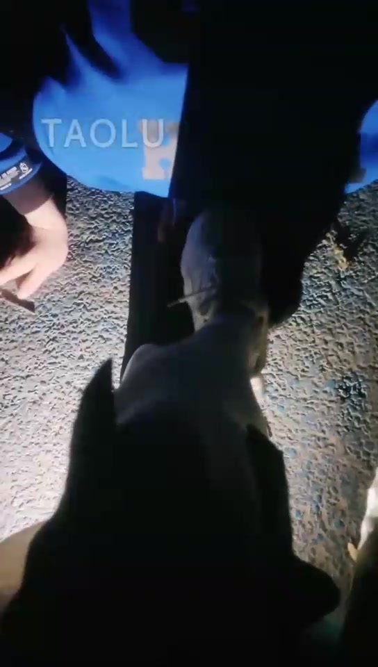 夜伴 户外 深夜公园调狗