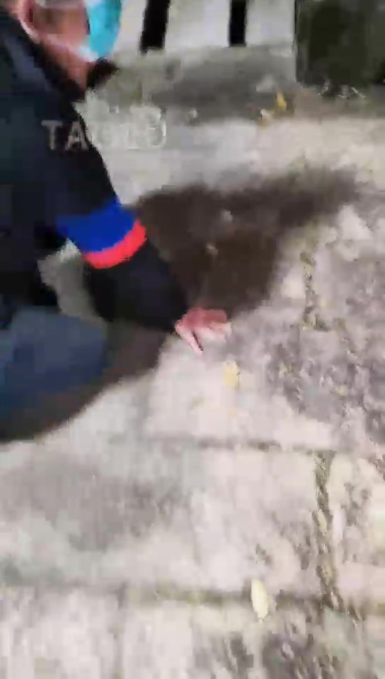 木秋夜深了 户外三人游戏