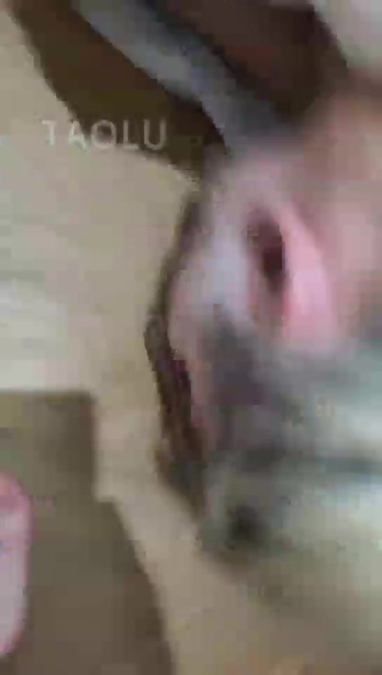 木秋夜深了 后半场 训练大金毛