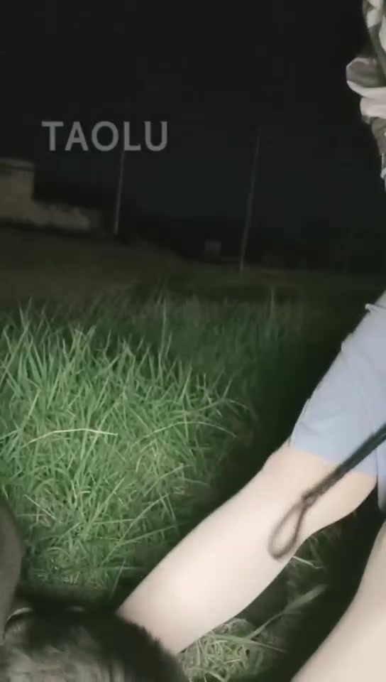 奈美 户外路边直播 耳光 舔脚