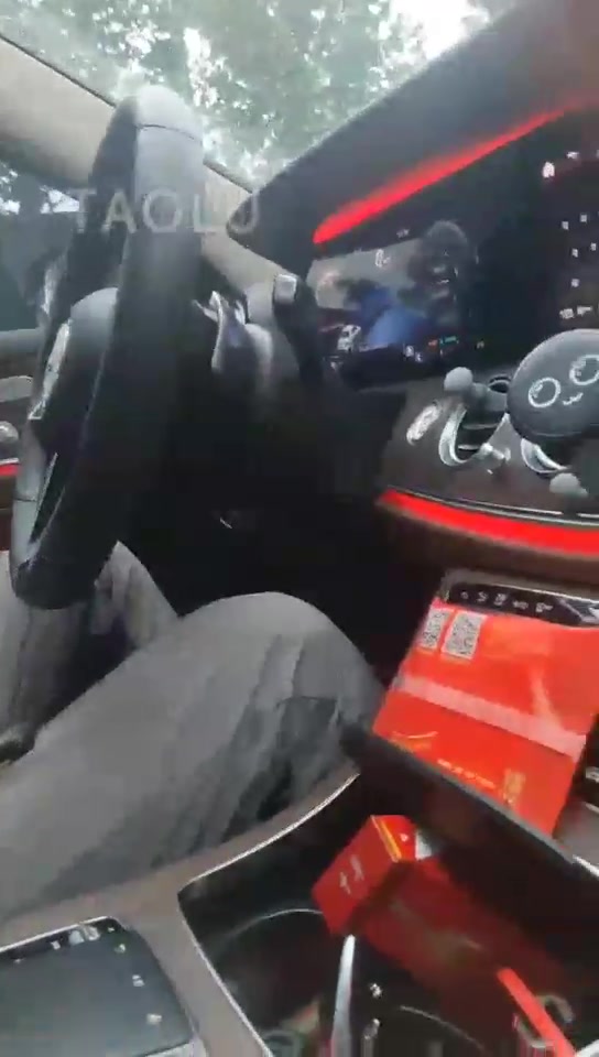 虐狗狂 顺风车司机 边走边调