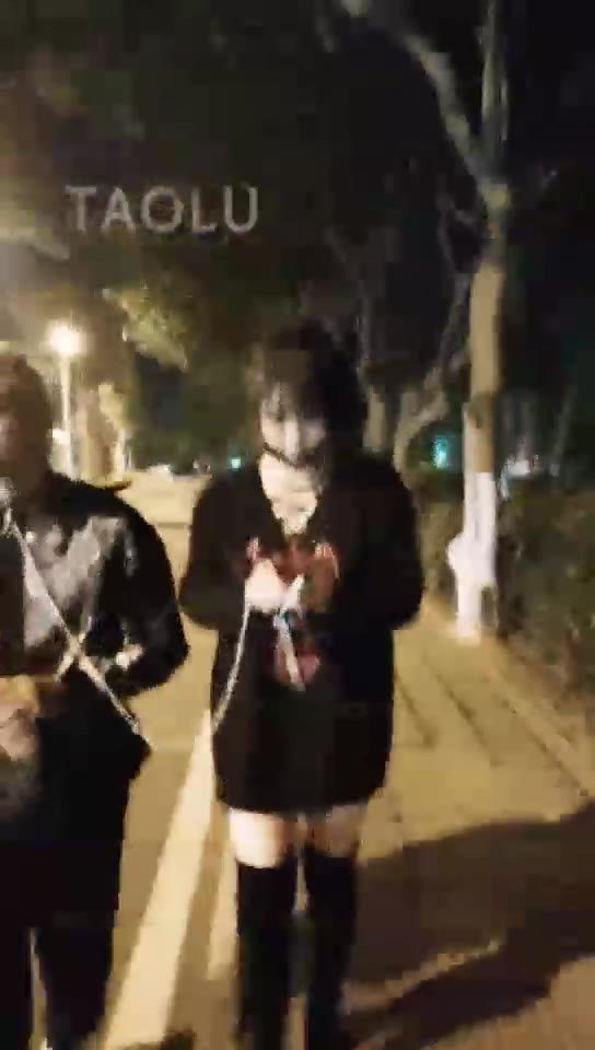 木秋夜深了 真正的海边景点户外牵绳散步