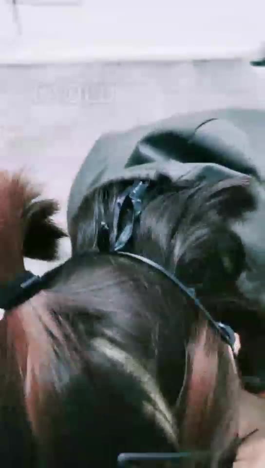 清见 调教两女奴舔脚