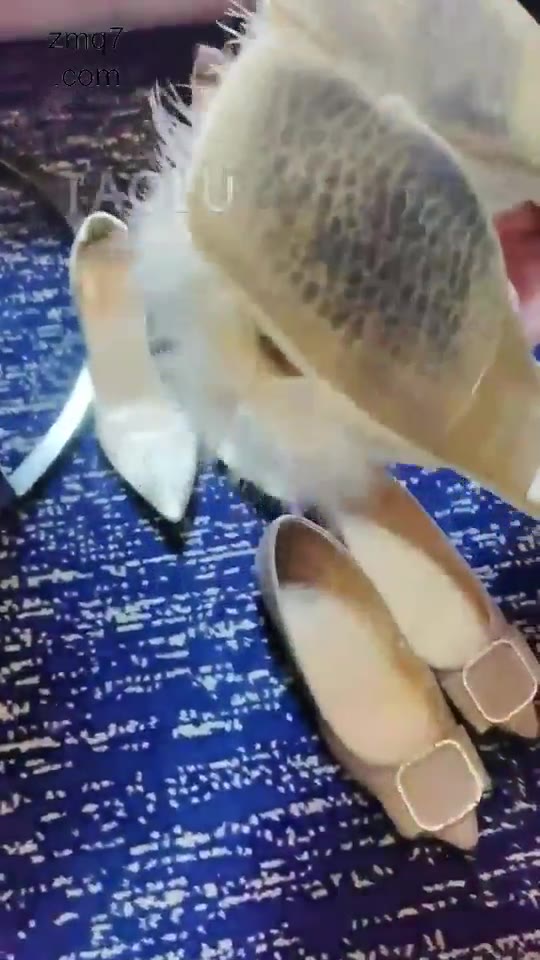 靈教官 鞋底清洁器