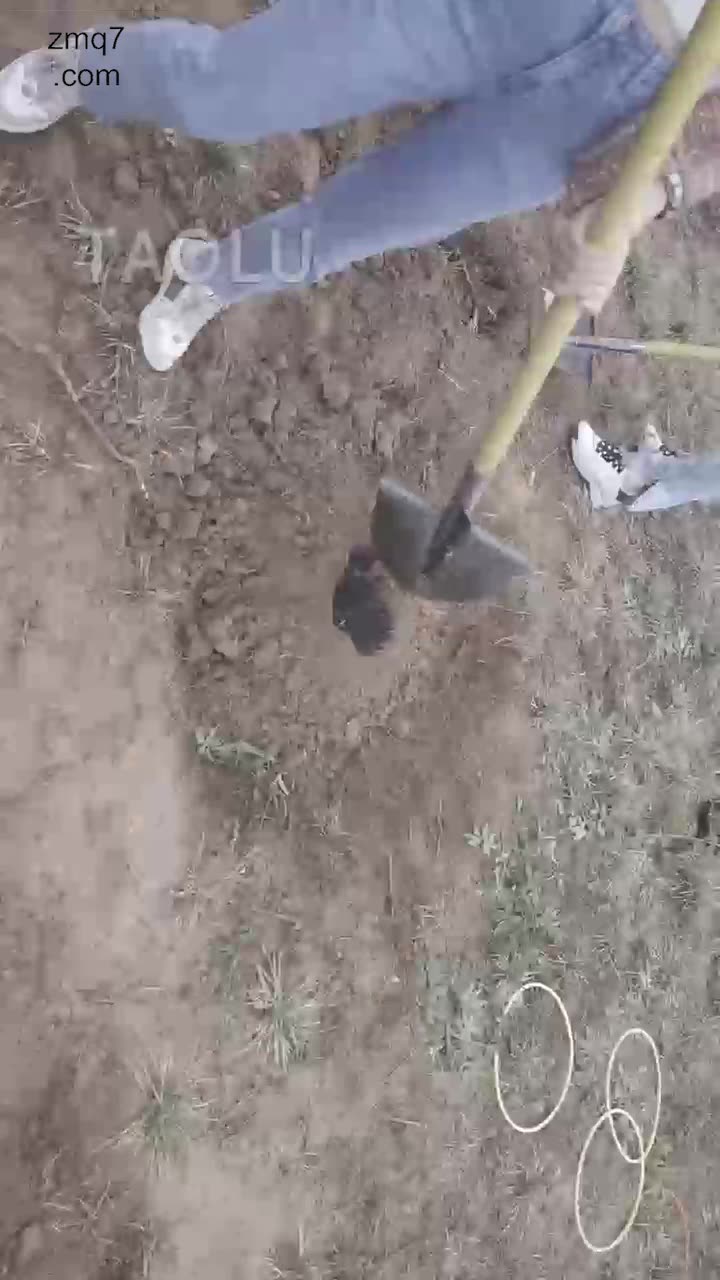 药神 地狱级惩罚 群体活埋