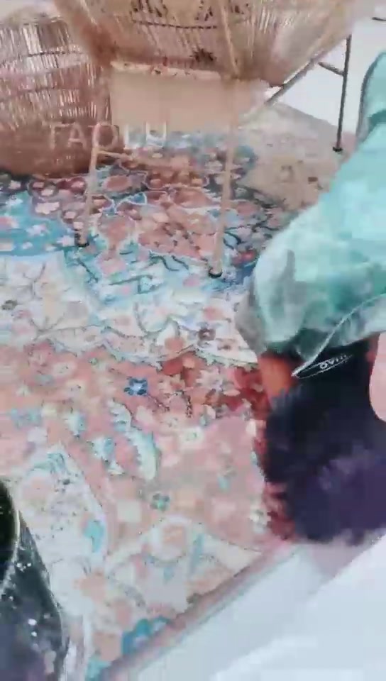 长沙雪王 令天把英语老师变成我的狗