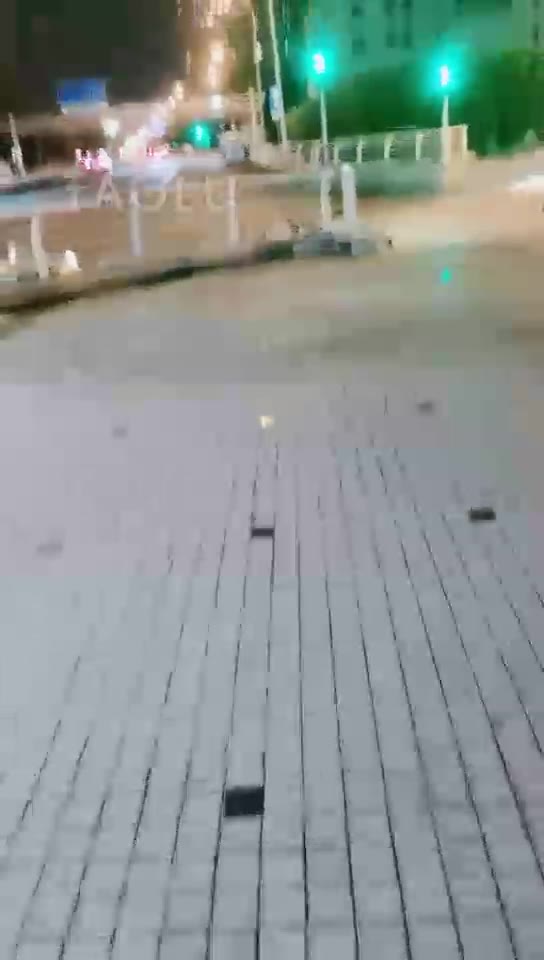 猫神大人 天津海河散步结尾随意调教