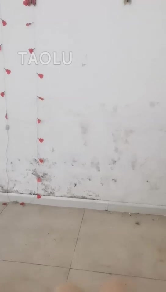 青蛙哥 理发店老板娘索人开发开始 全程给力