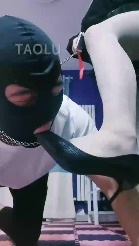 郑州清欢 踩头 虐乳 踩脸 坐脸 踩踏