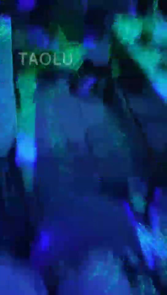 沐琪大小姐 带奴去KTV玩玩