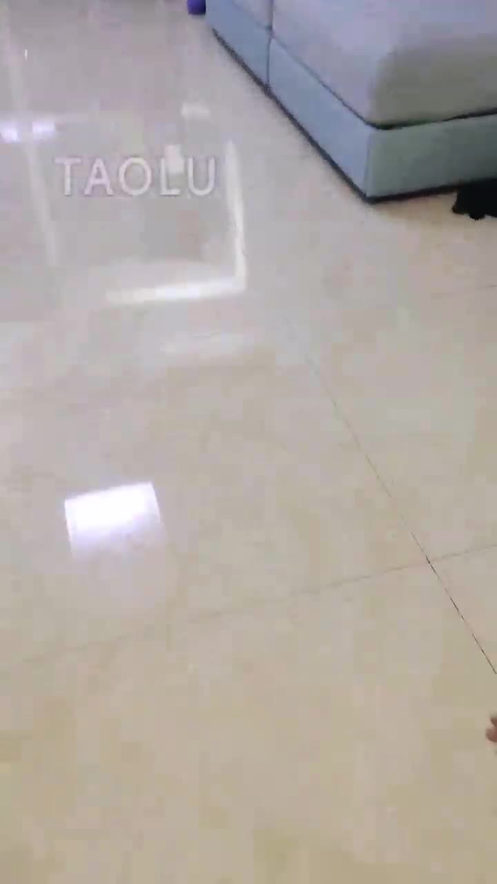 Audrey雪儿 双主调狗 骑马 舔脚 64分钟