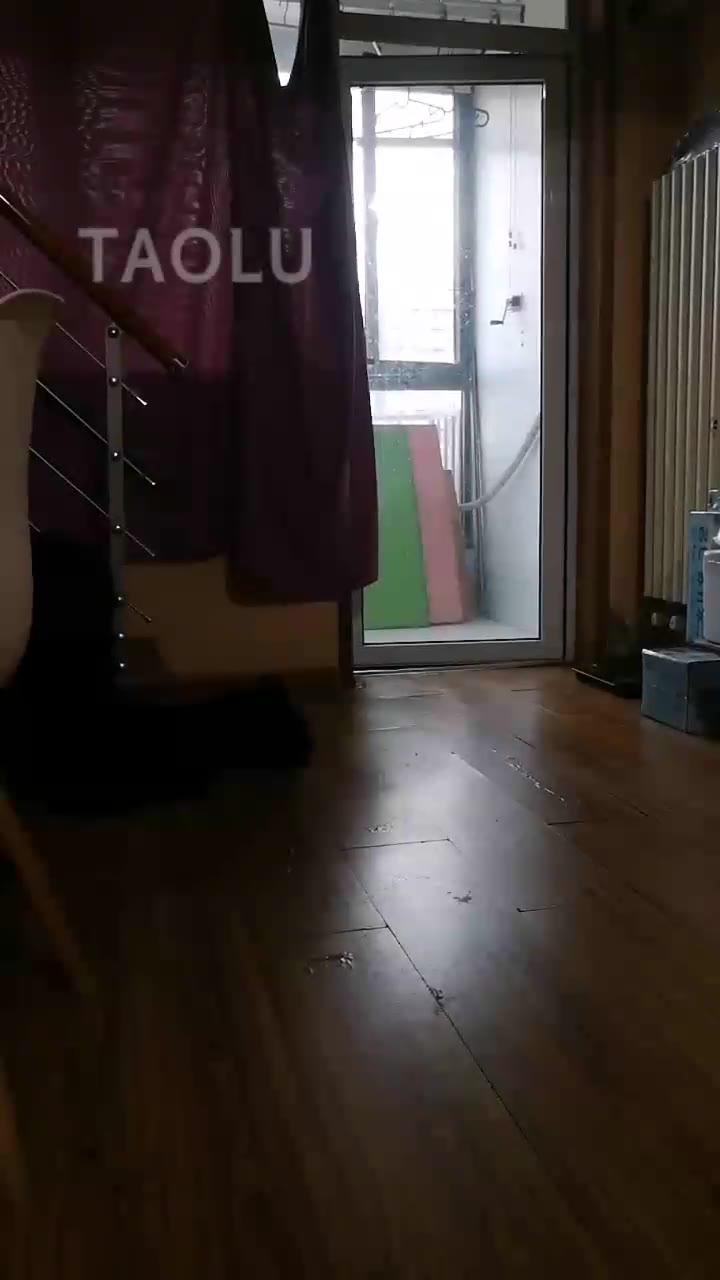 济南琥珀 网袜调教狗奴