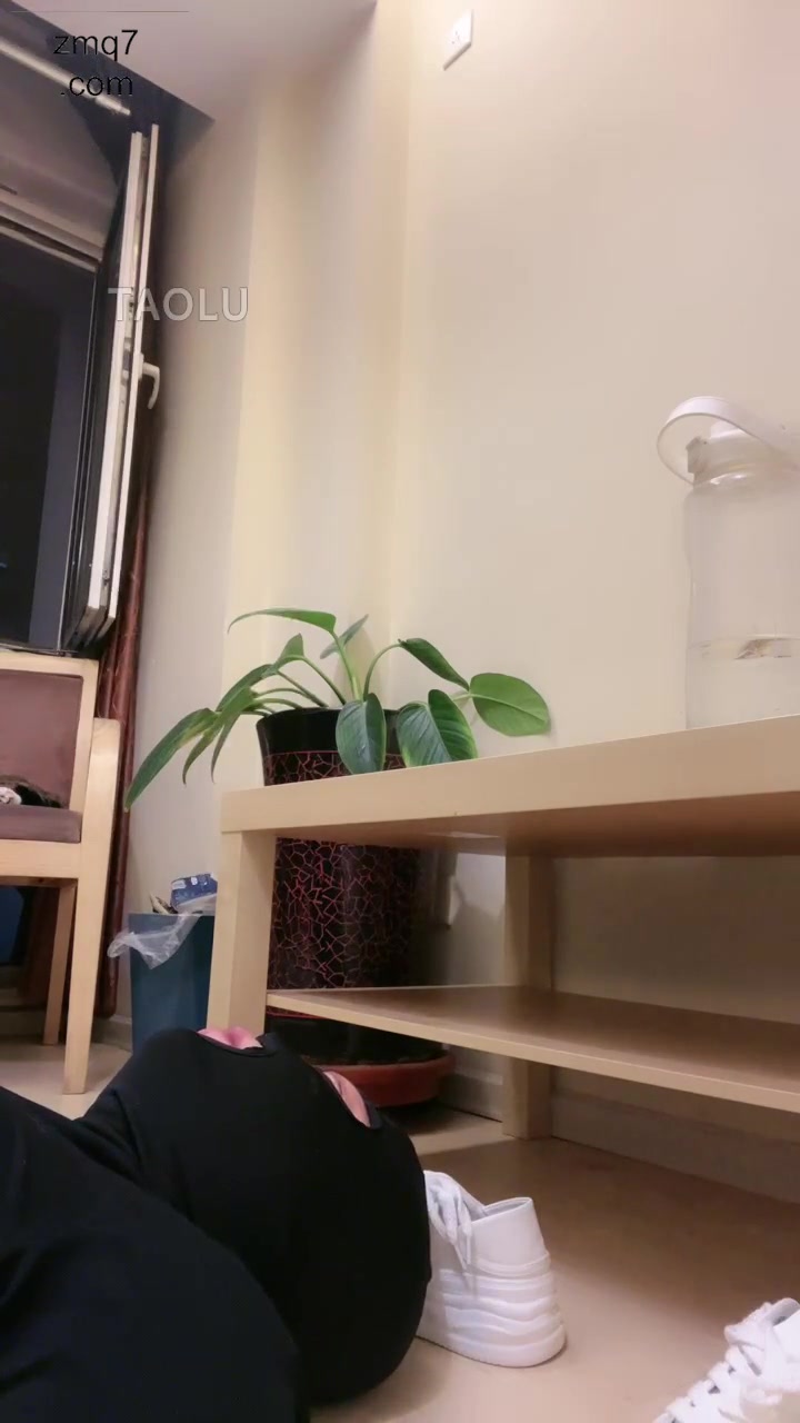 初见 接着玩团长