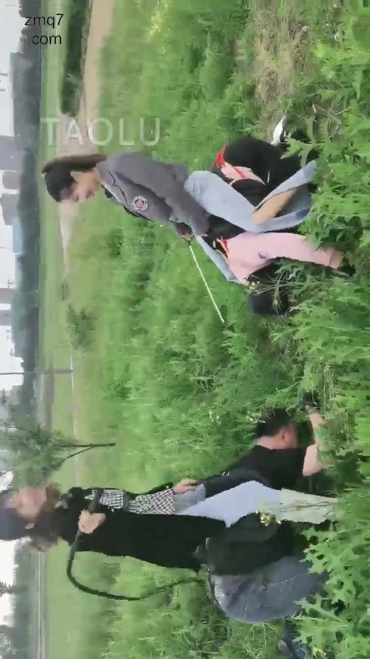 二宝 户外调教 雨天 惨绝人寰 地狱训练