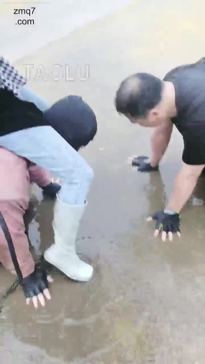 二宝 户外调教 雨天 惨绝人寰 地狱训练