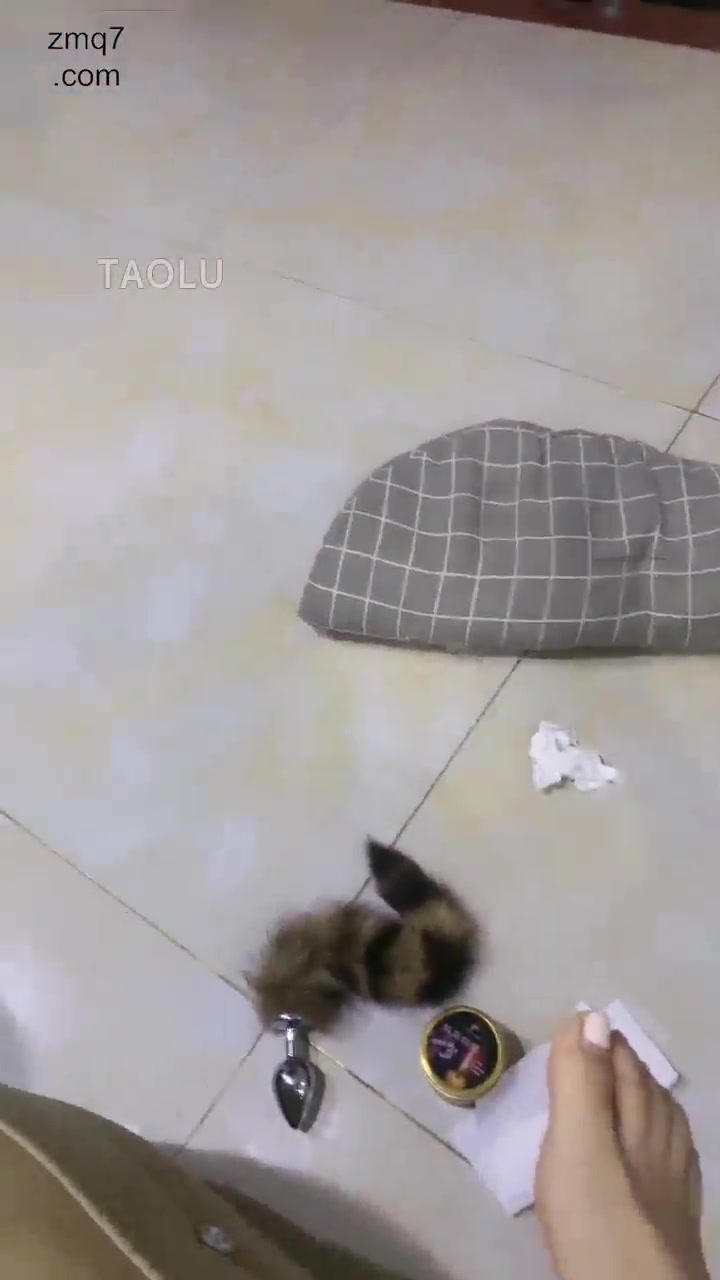 雨琦 母畜优才计划