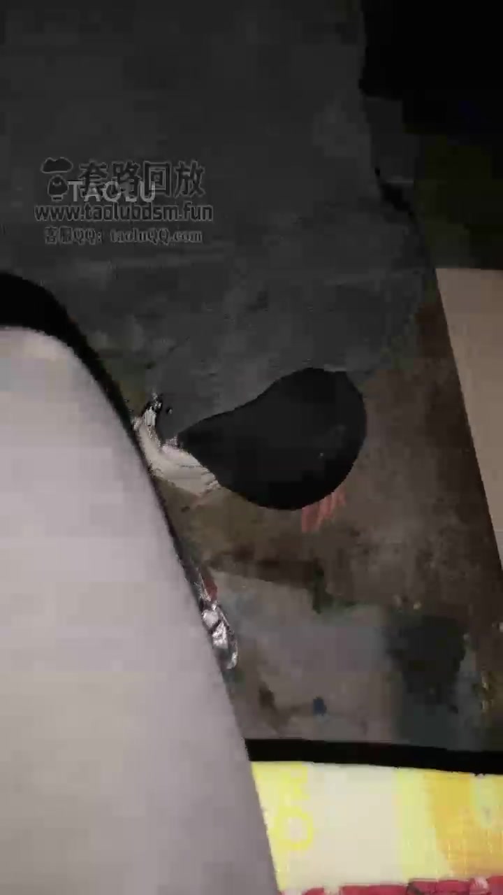 麒麟女皇 户外 欺负家奴