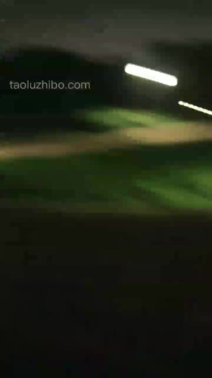 流年 喝酒 啤酒。聊天 户外 公园 老狗