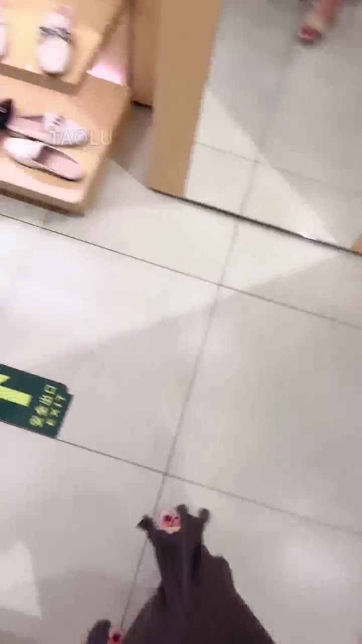 三三 带狗来商场