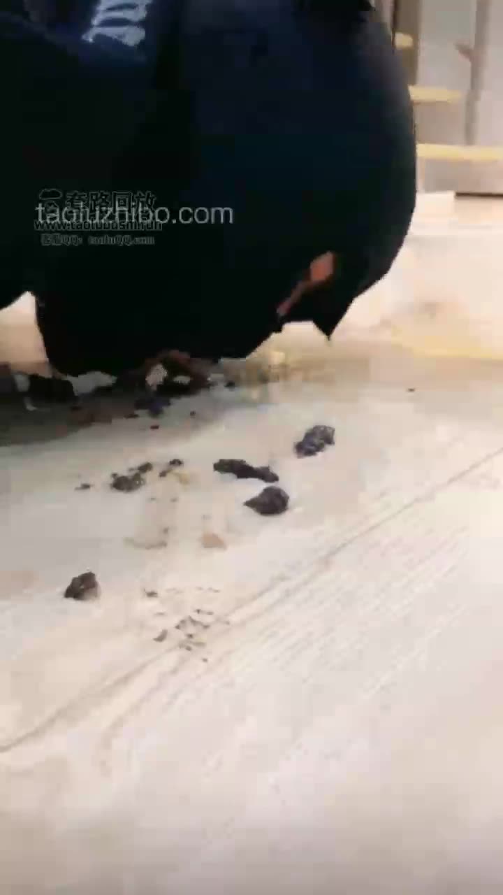 红杉 和悠悠S玩狗