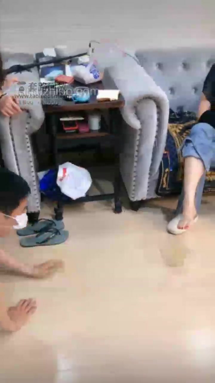 红杉 和悠悠S玩狗