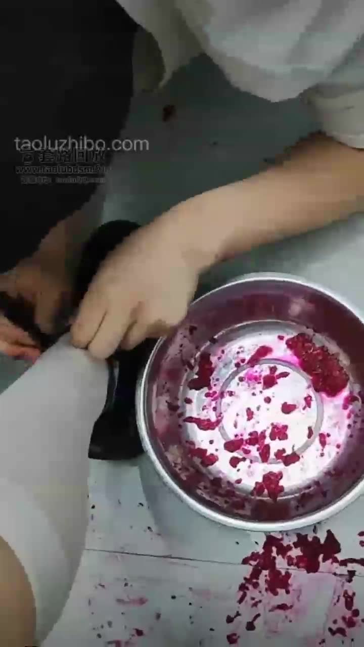 你的苏可儿 用小腿袜给火龙果榨汁 跟圣水混合搅拌给狗狗喝