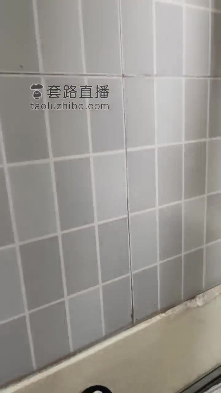 艾拉 三女王的出气筒与公厕