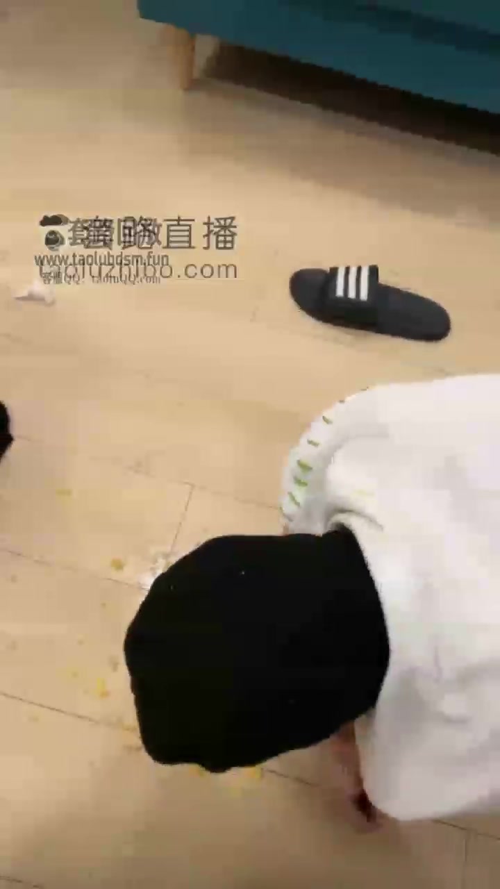 馨怡 首调公畜