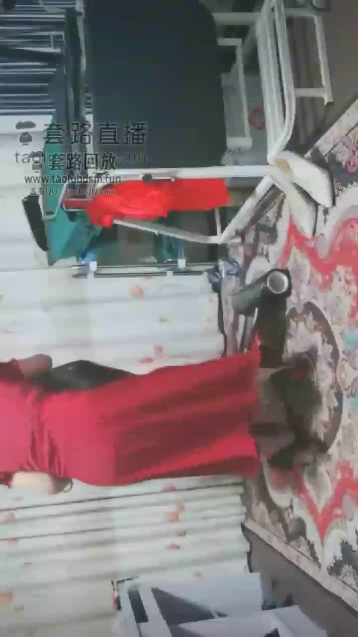 西安女主冰爷 开发新手狗狗