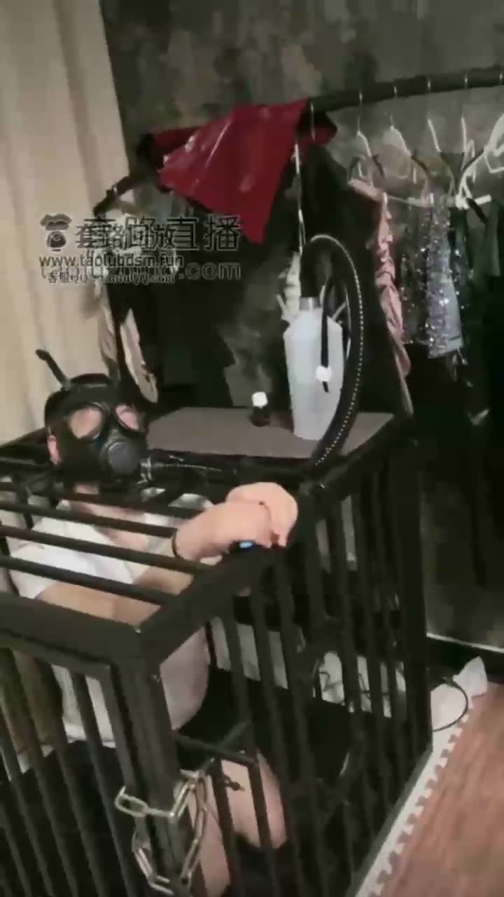 鸾月小主 做奴隶的 连呼吸都属于主人