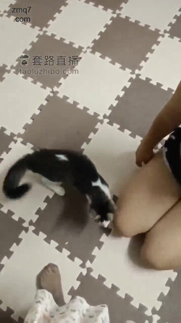 蟹宝 赶紧来