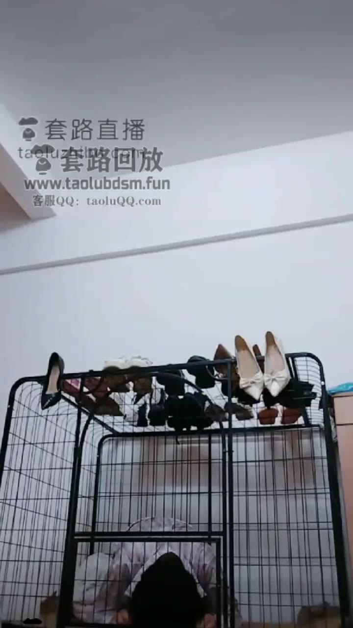 刘二狗 调教 在狗笼里面吃黄金拌饭
