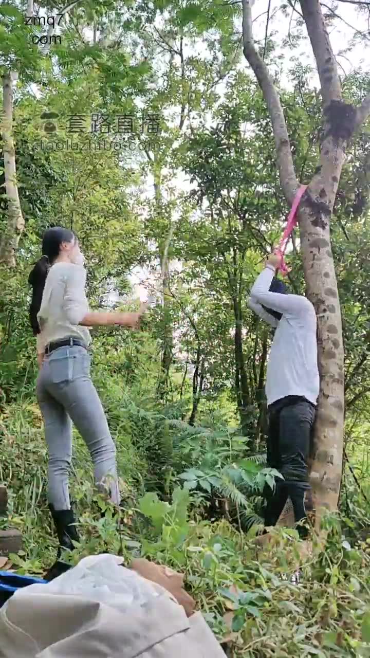 暴力美学 双主户外 调教刑奴