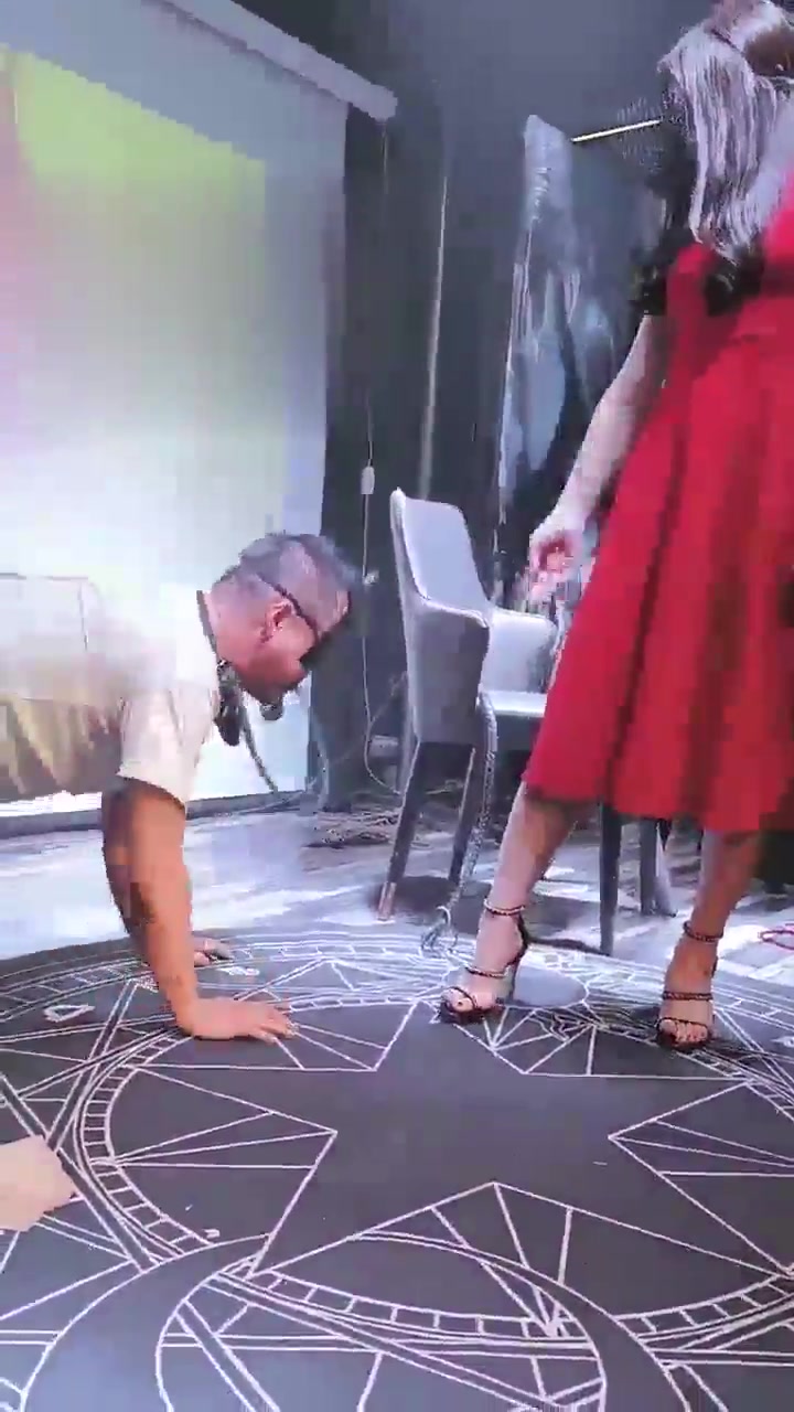 美帝 酒吧公调贱狗