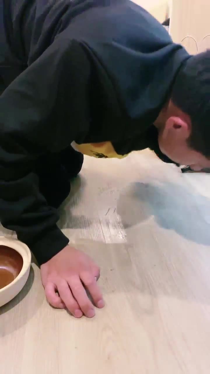 骨精精 家奴