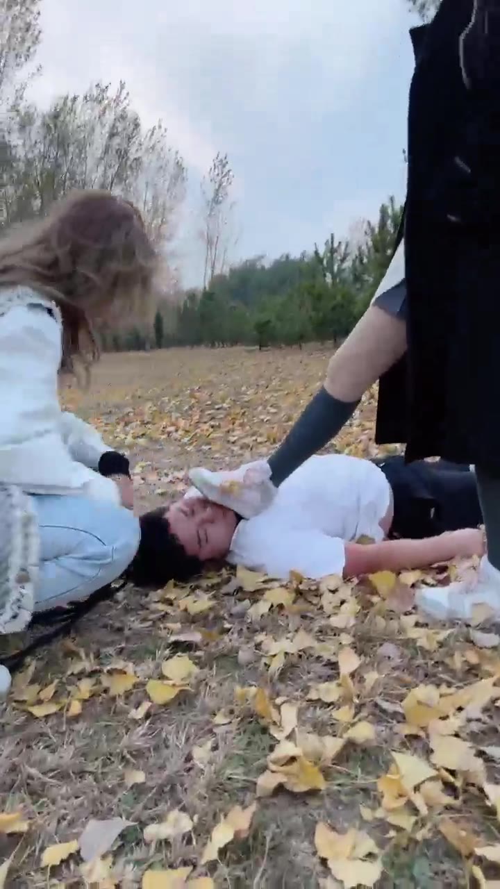 二宝 无法预知的遛狗计划
