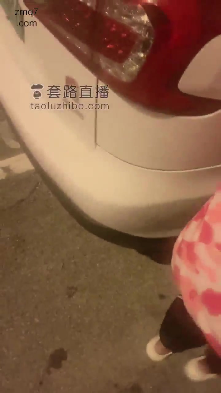 只为开发素人 跟十三妹海边开发刚刚和男友分手的素人