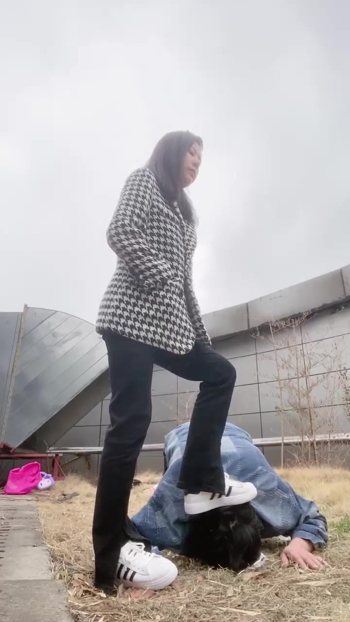 猫咪大大 户外 暴打