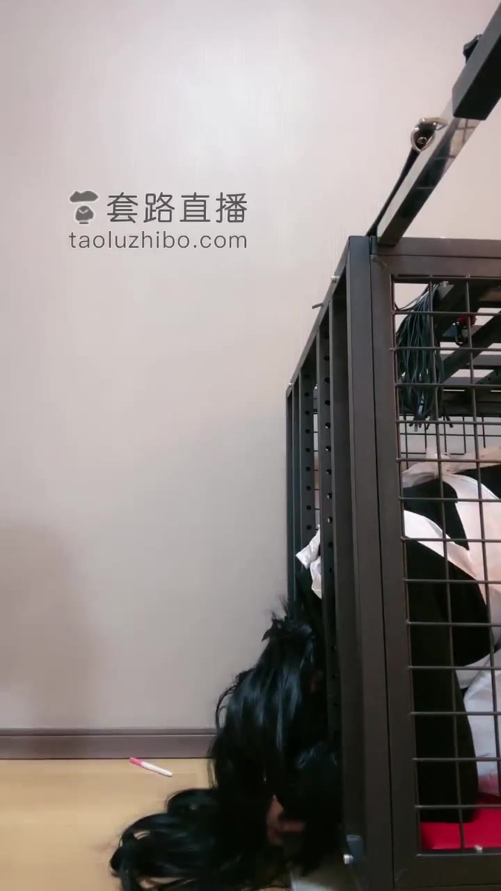 维妮 懂得都懂