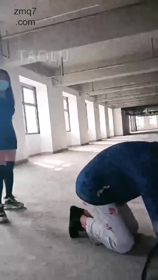 红杉 惩罚跑骚狗