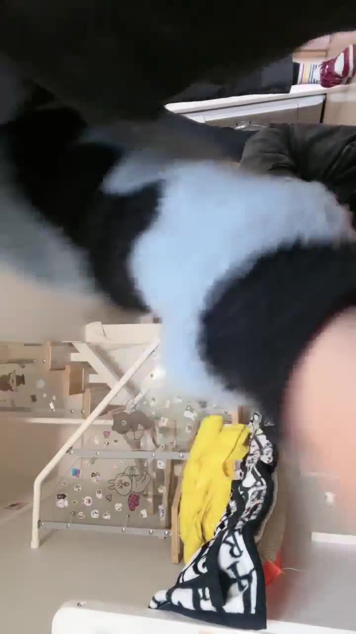 丸子 双女主 暴力调教