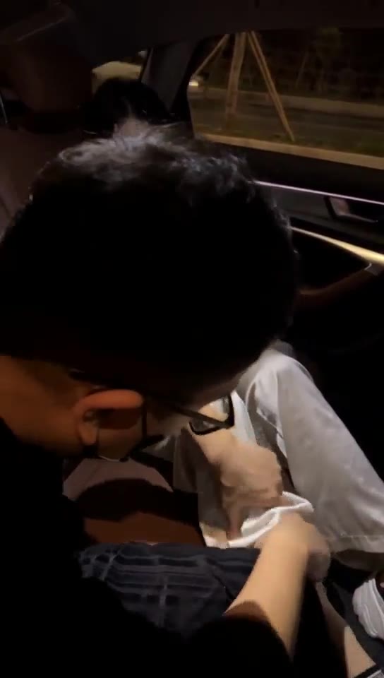 C爷 车上按摩 户外遛狗 钻裆