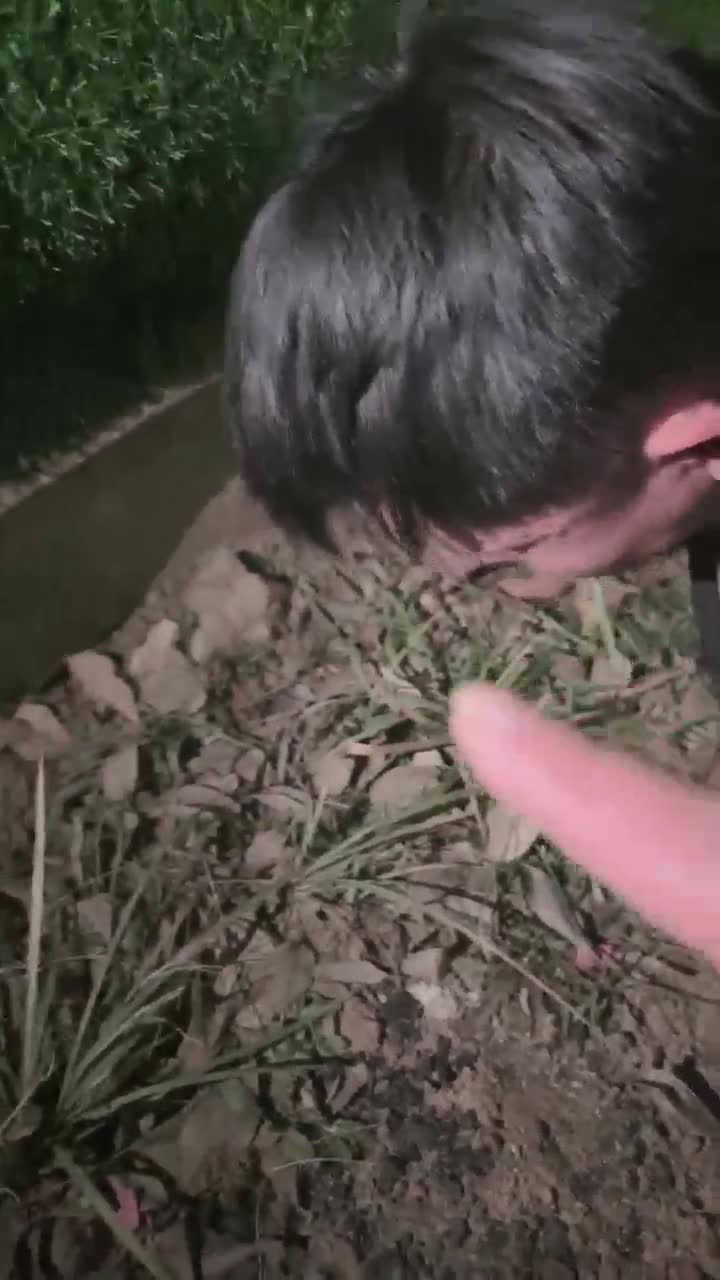 宸宸 家奴的一天 3